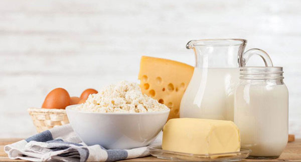 CHEESE,-MILK,-WHEY-AND-FOOD-PROTEIN CHEESE,-MILK,-WHEY-AND-FOOD-PROTEIN