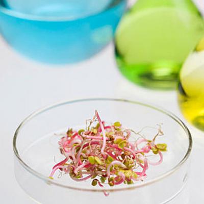 Specific lindustries